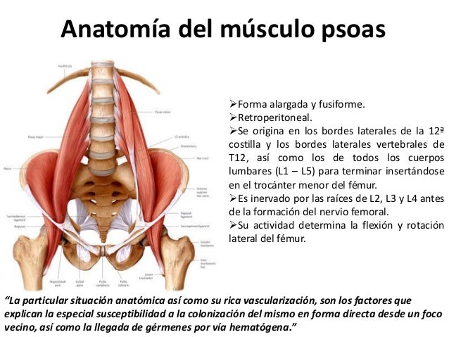 absceso psoas